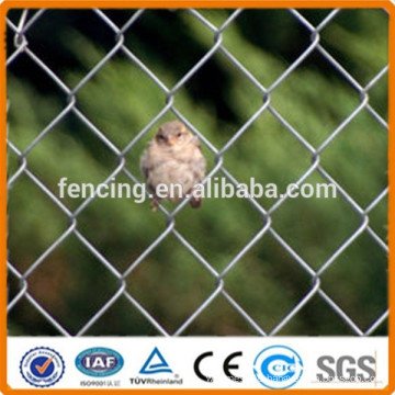 High quality galvanized removable chain link fencing